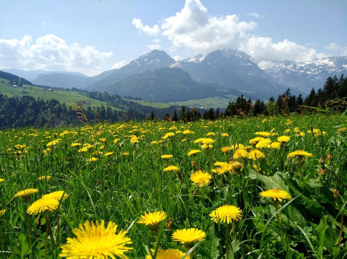 Lammerauhof Abtenau Dış mekan fotoğraf