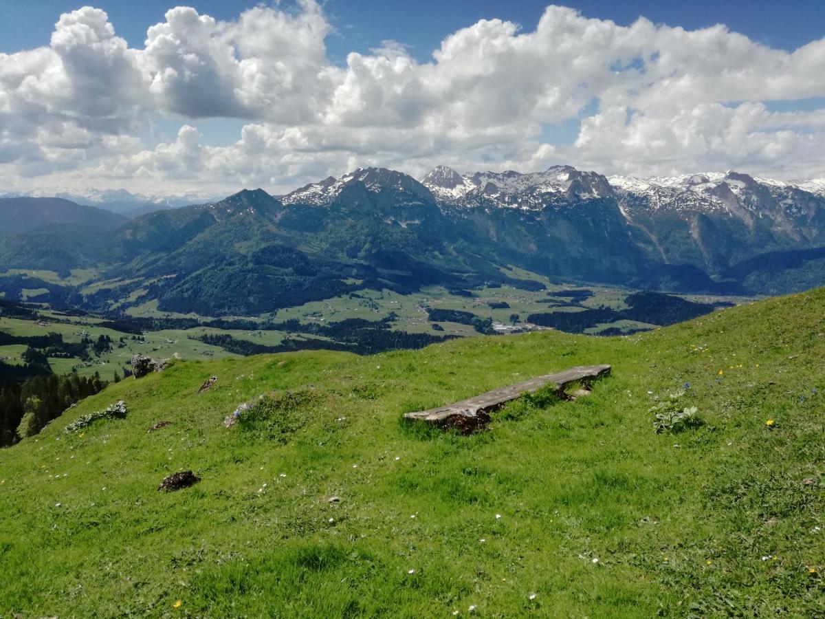 Lammerauhof Abtenau Dış mekan fotoğraf