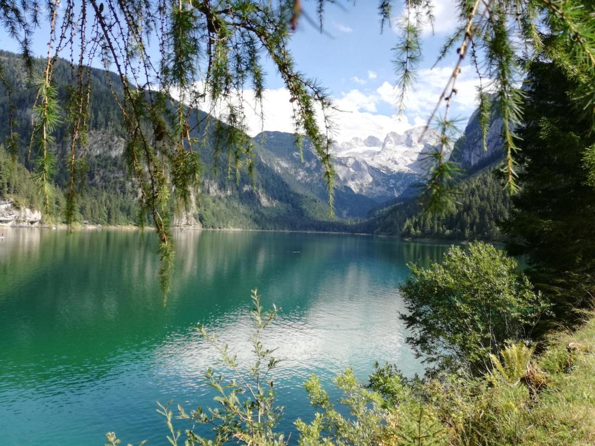 Lammerauhof Abtenau Dış mekan fotoğraf