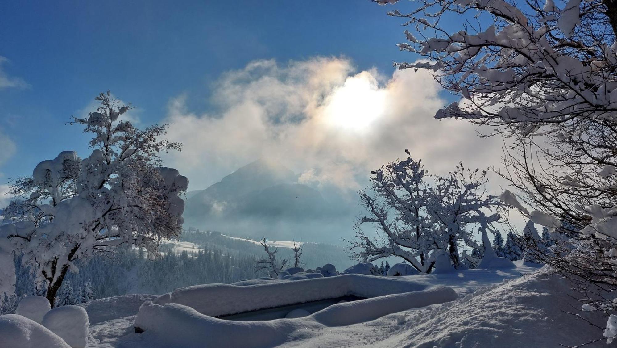 Lammerauhof Abtenau Dış mekan fotoğraf