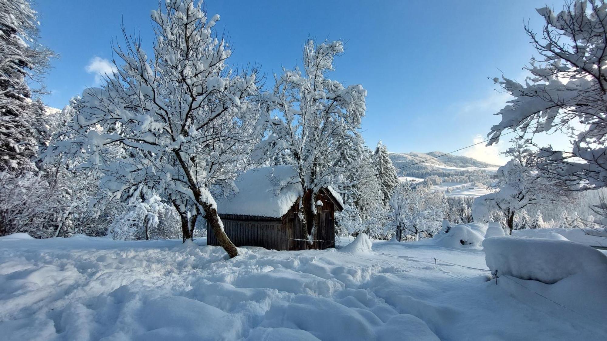Lammerauhof Abtenau Dış mekan fotoğraf