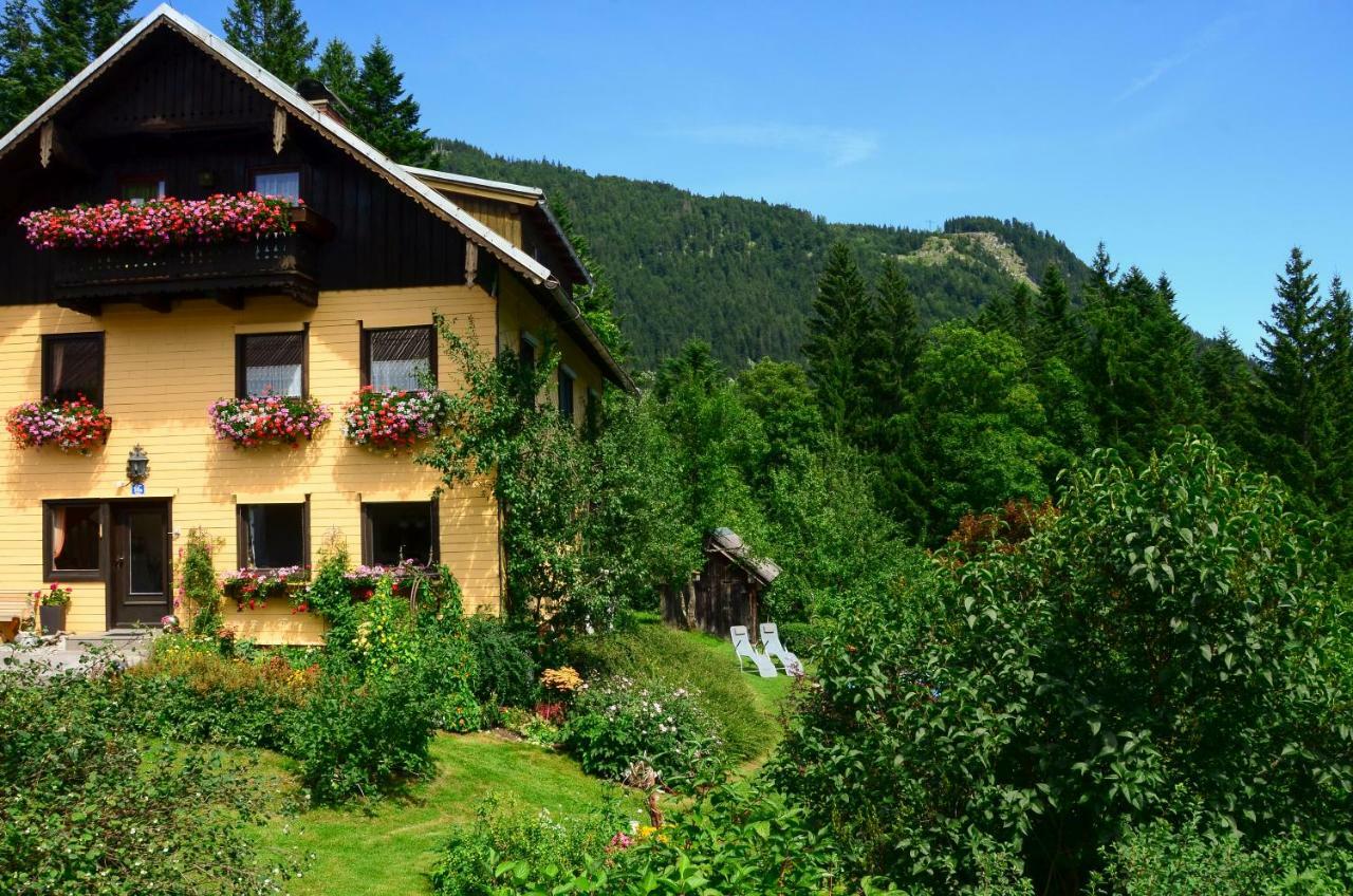 Lammerauhof Abtenau Dış mekan fotoğraf